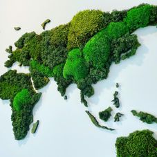 Moss maps - Ecosigns